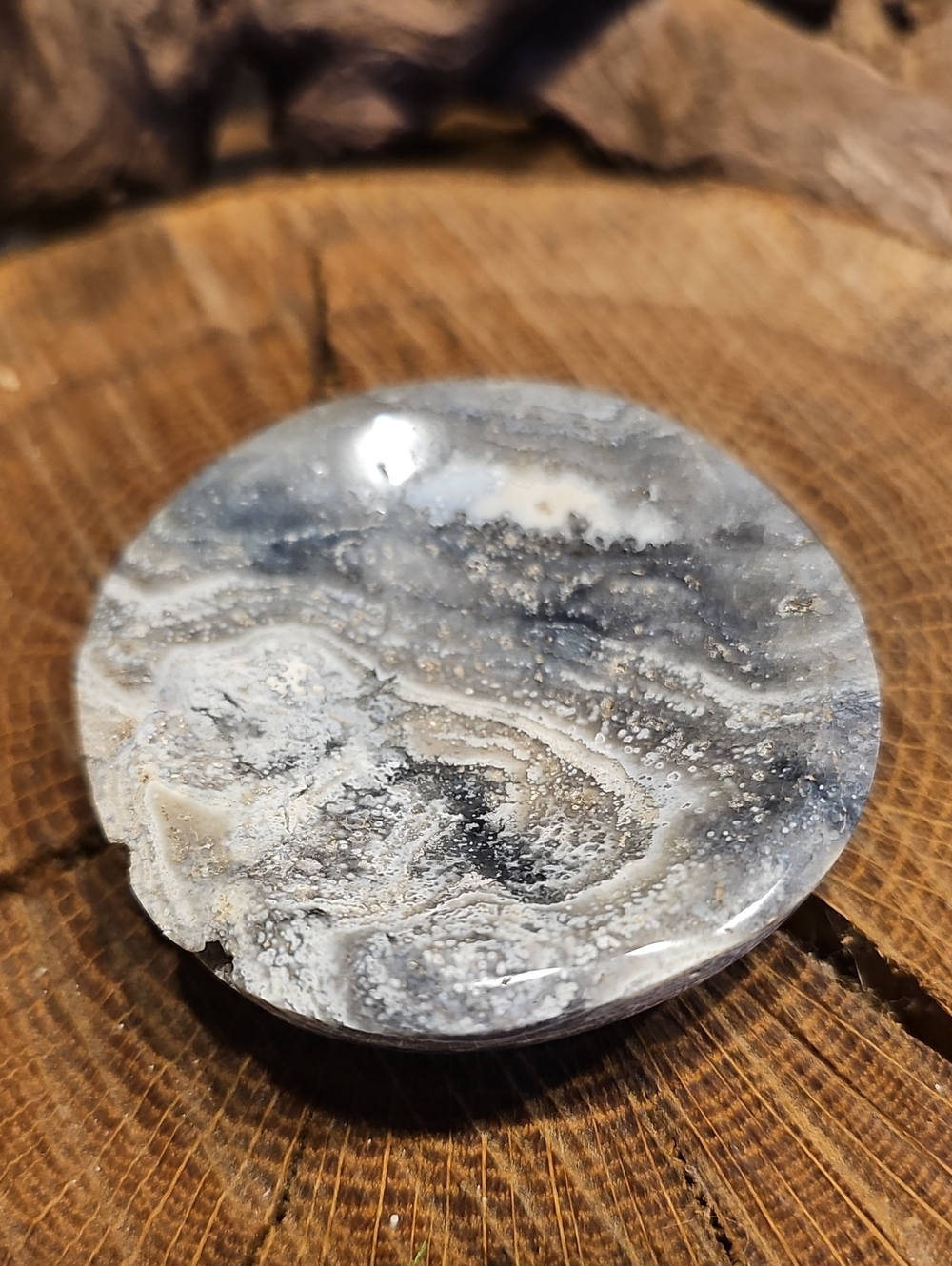 Polished Ocean Jasper Display Dish With Druzy Bug